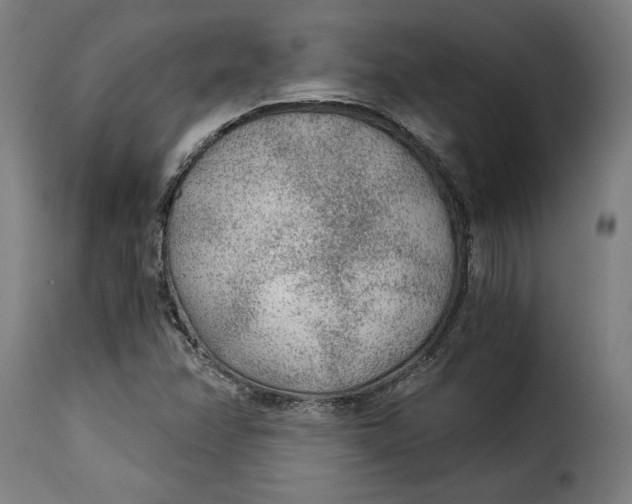 X0000115261358200911201656