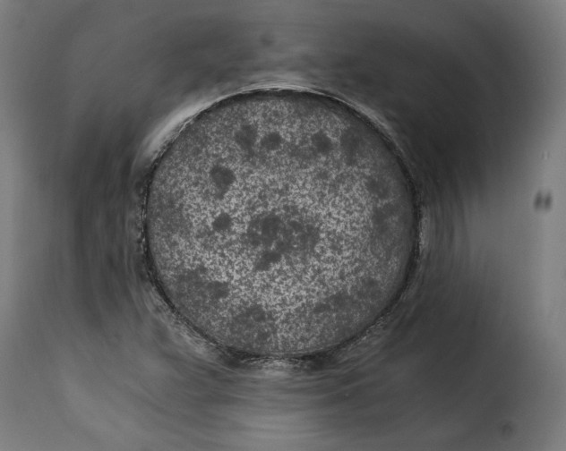 X0000115261359200911201656