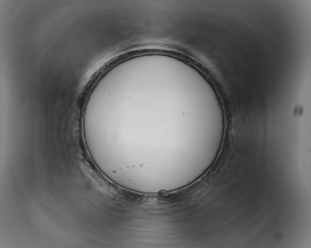 X0000115261360200911201656