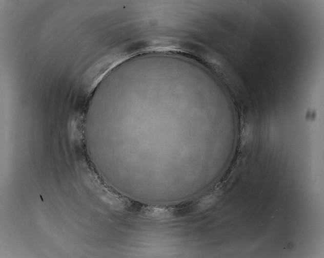 X0000115261361200911201655