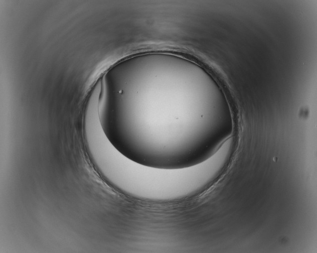 X0000115261365200911201655