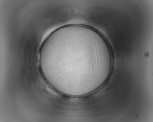 X0000115261366200911201655