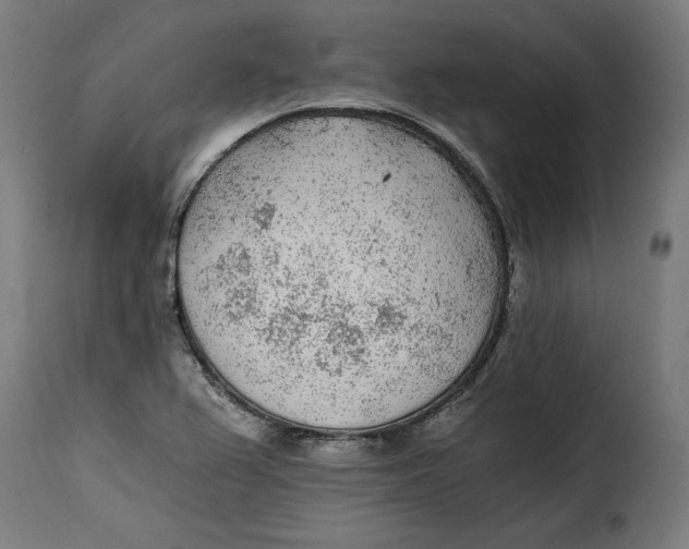X0000115261367200911201655