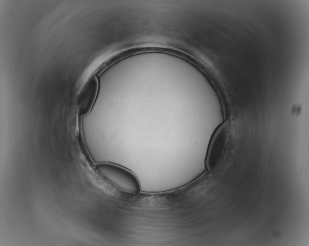 X0000115261368200911201655