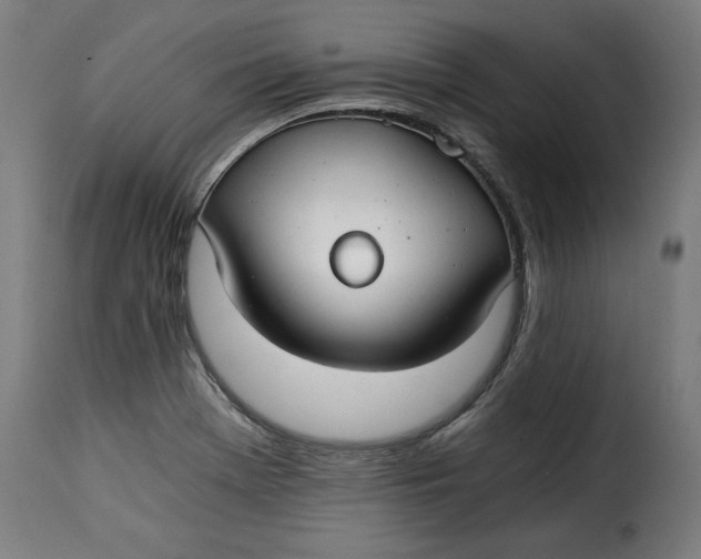 X0000115261369200911201655