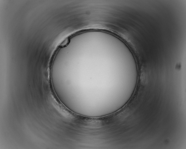 X0000115261372200911201655