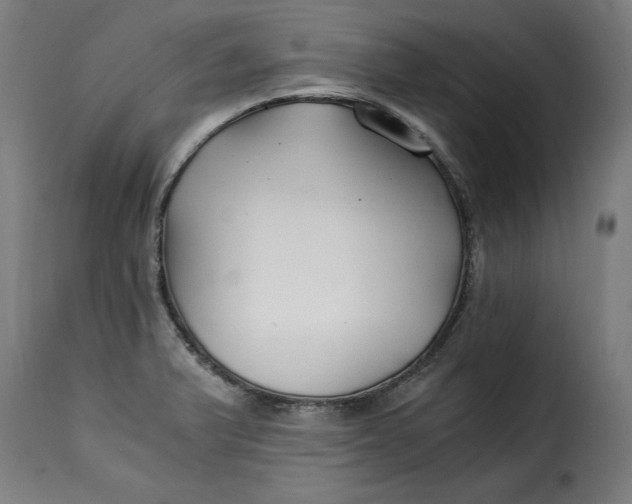 X0000115261375200911201655