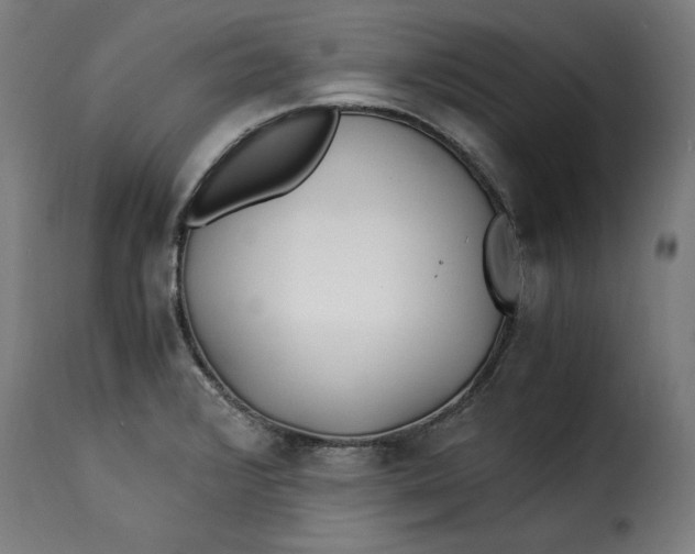 X0000115261376200911201655