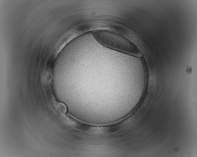 X0000115261377200911201655