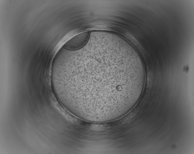 X0000115261378200911201655