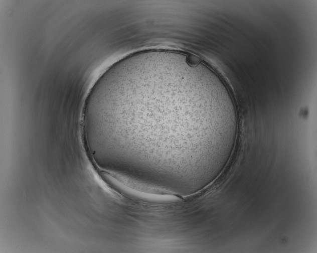X0000115261379200911201655