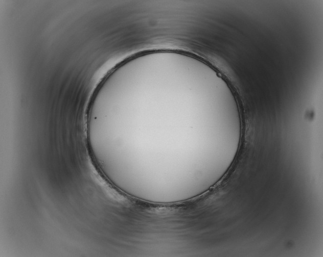 X0000115261380200911201655
