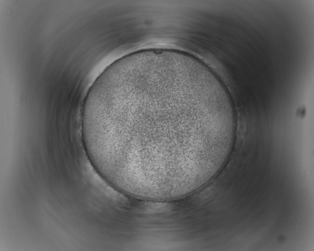 X0000115261382200911201655
