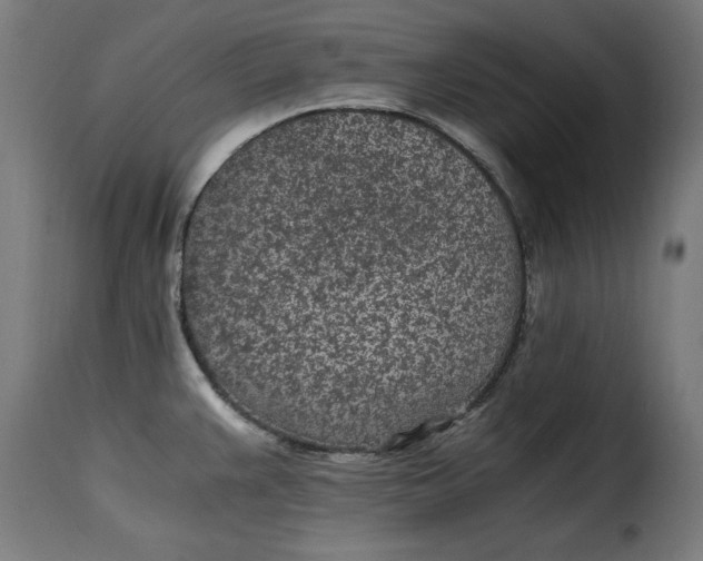 X0000115261383200911201655