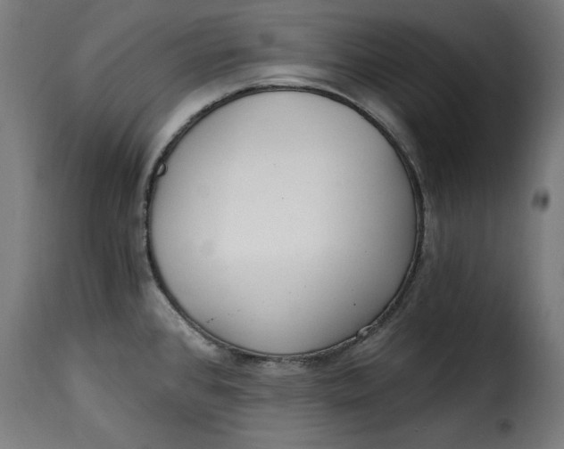 X0000115261384200911201655