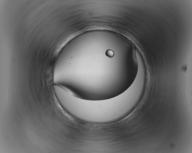 X0000115261385200911201655