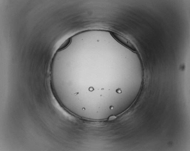 X0000115261387200911201655