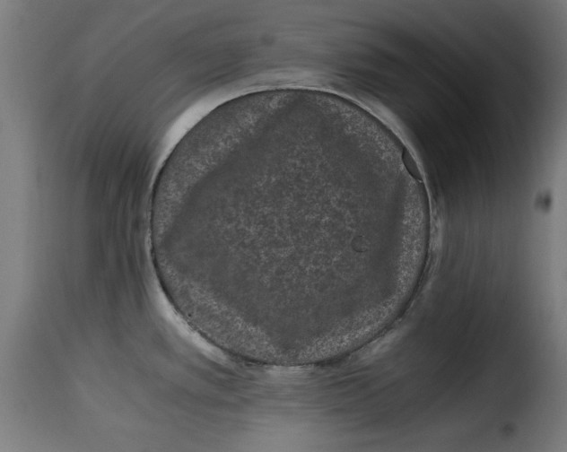 X0000115261389200911201655