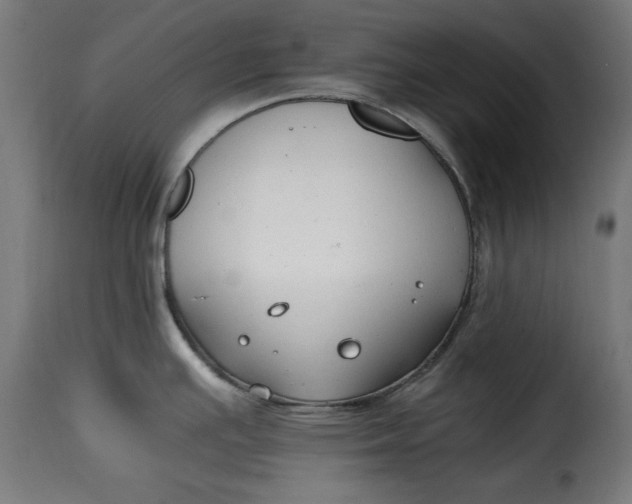 X0000115261391200911201655