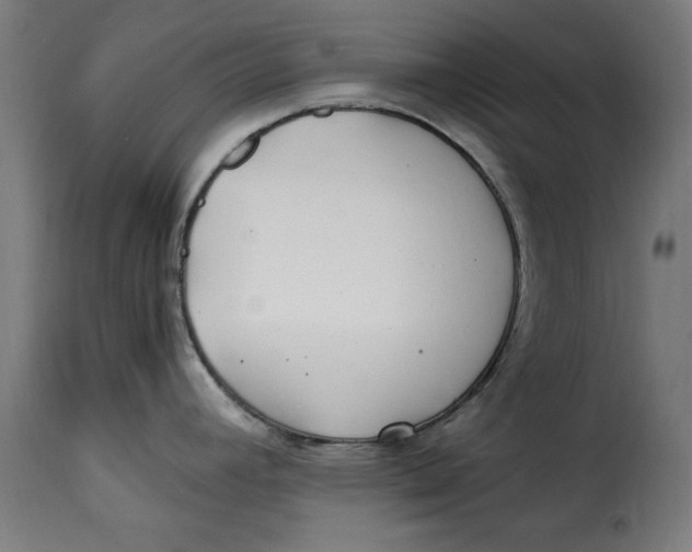 X0000115261392200911201655