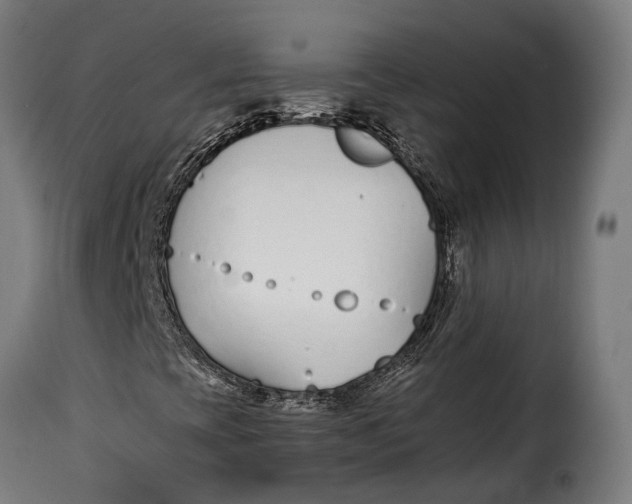 X0000115261393200911201654