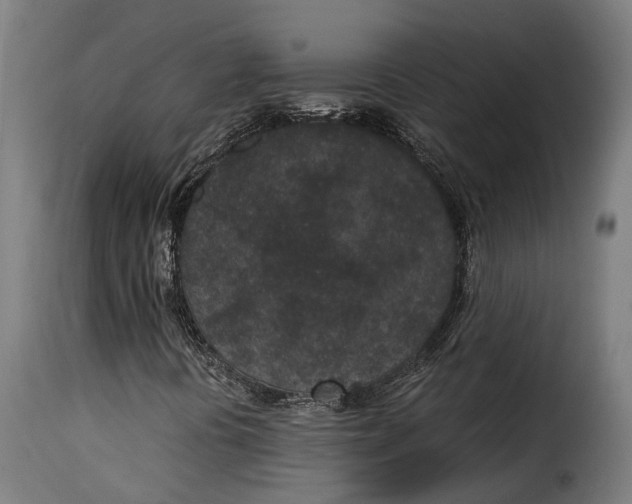 X0000115261394200911201654