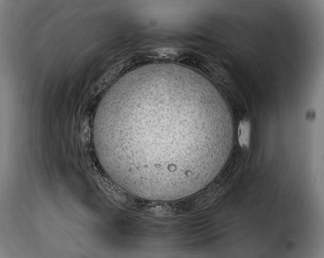 X0000115261395200911201654