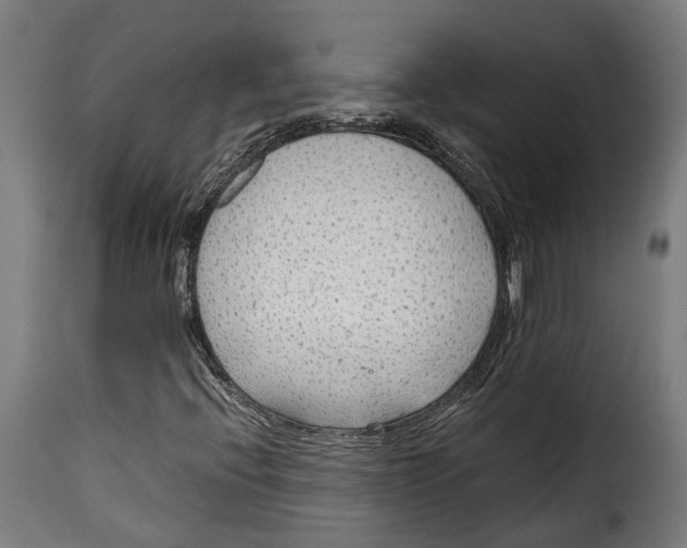 X0000115261396200911201654