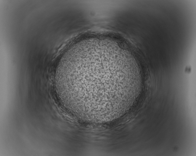 X0000115261397200911201654