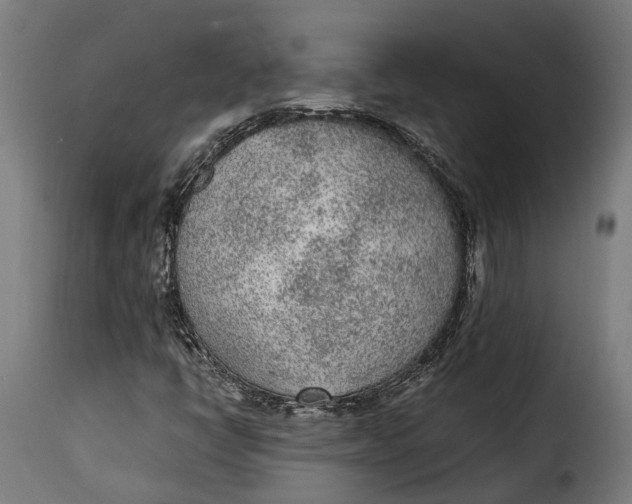X0000115261398200911201654