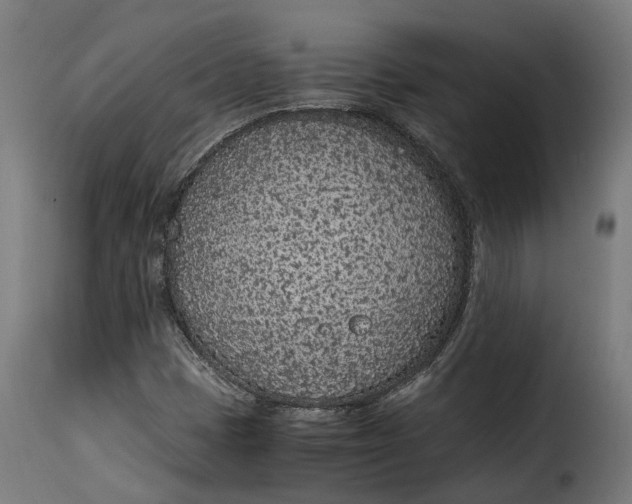 X0000115261401200911201655