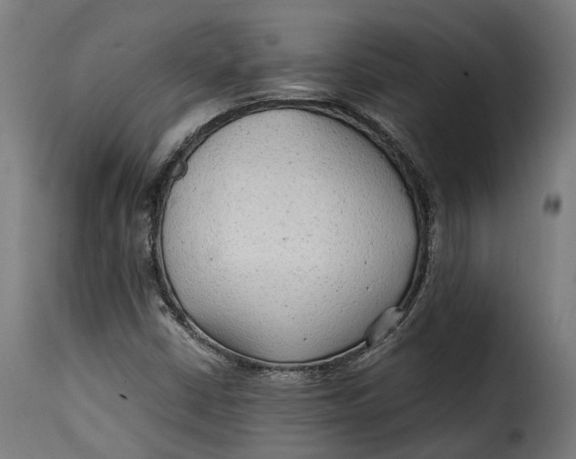 X0000115261402200911201655