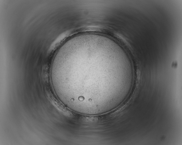 X0000115261403200911201655