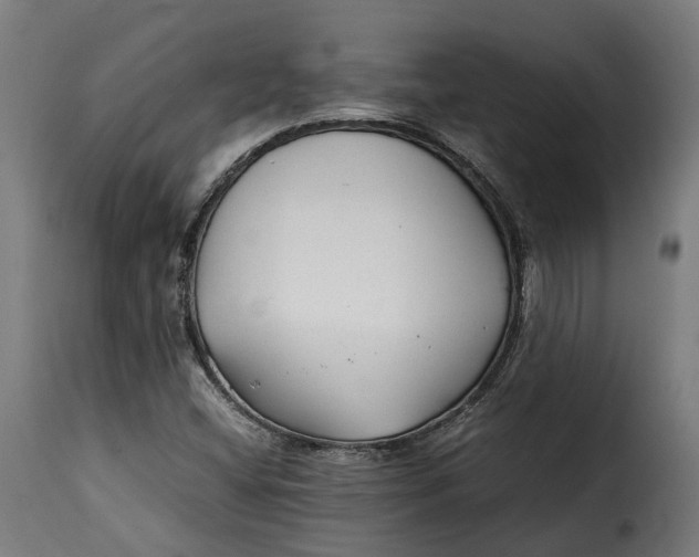 X0000115261404200911201655