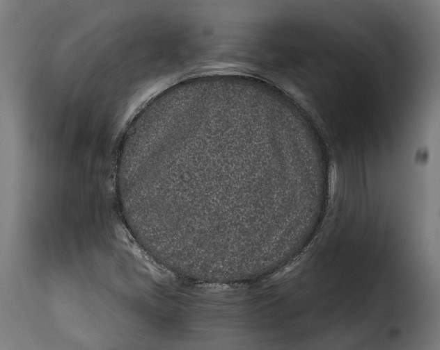X0000115261405200911201655
