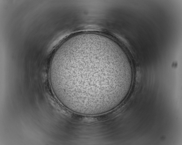 X0000115261407200911201655