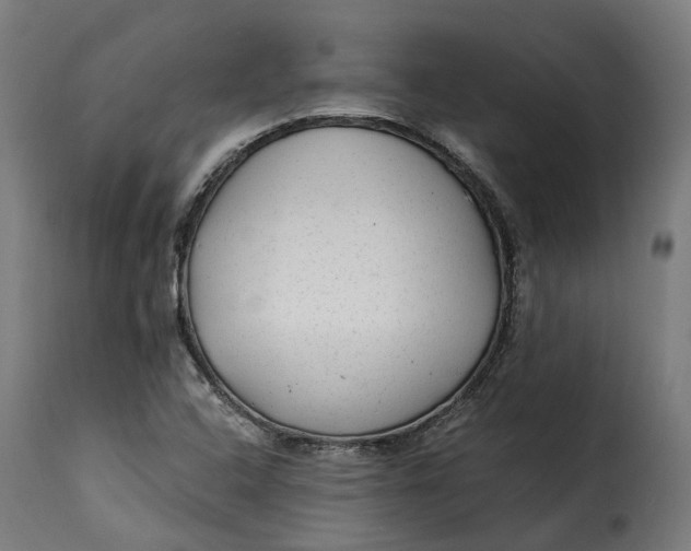 X0000115261408200911201655