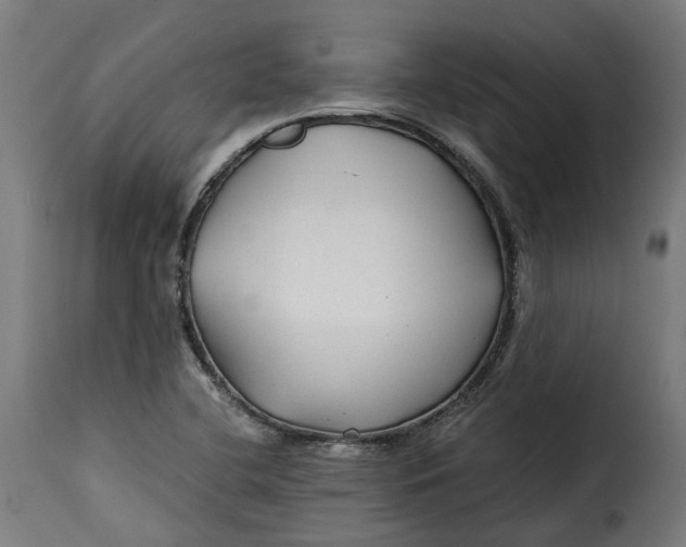 X0000115261412200911201655