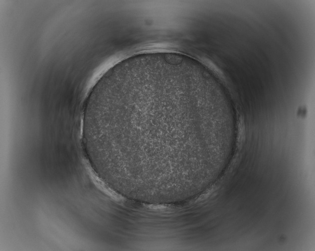 X0000115261413200911201655