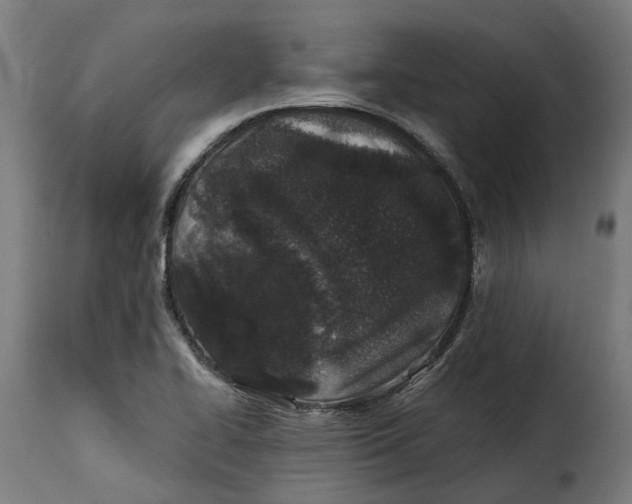 X0000115261414200911201655