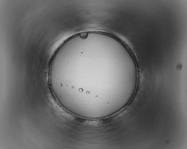 X0000115261415200911201655