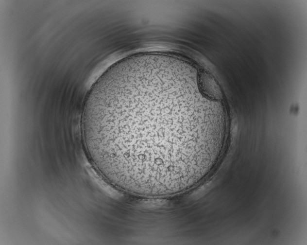 X0000115261417200911201655