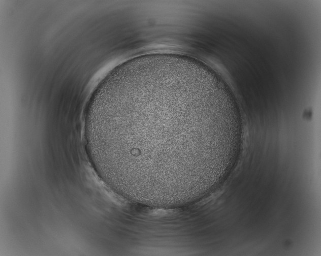 X0000115261419200911201655
