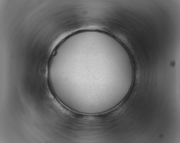 X0000115261420200911201655