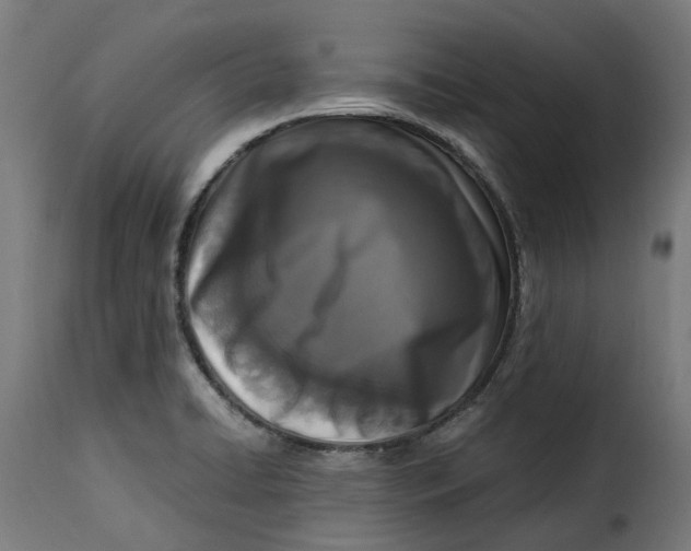 X0000115261422200911201655