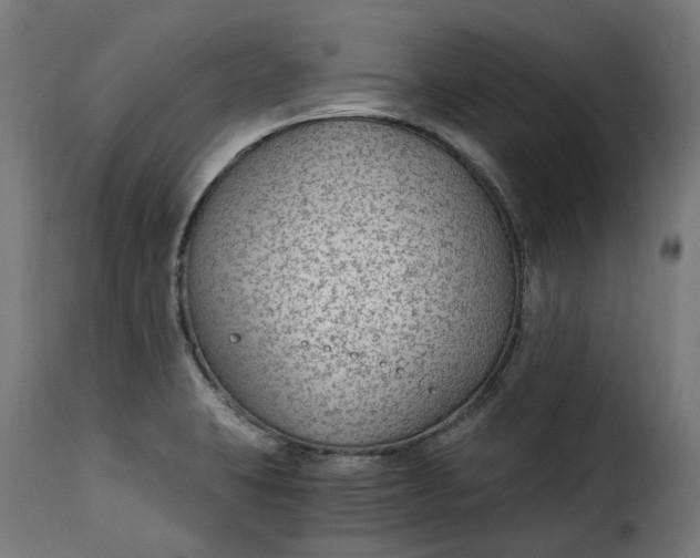 X0000115261423200911201655