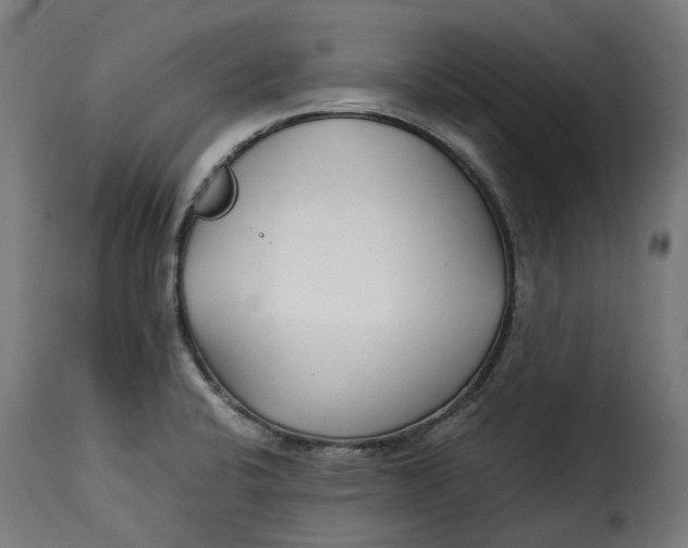 X0000115261424200911201655