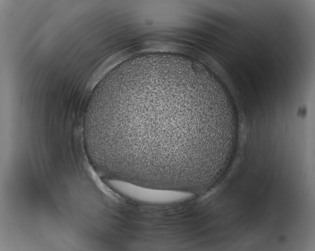 X0000115261425200911201655