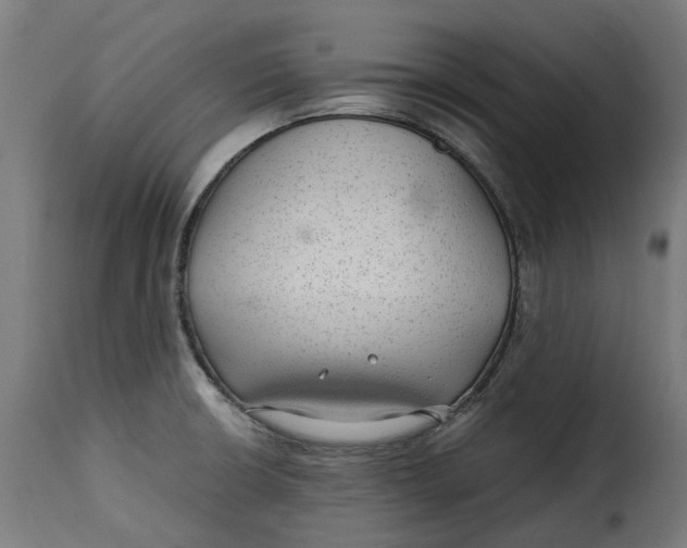 X0000115261426200911201655