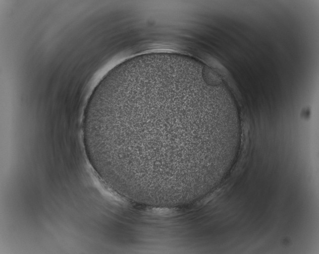 X0000115261427200911201655